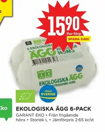 Willys Hemma Ekologiska ägg 6-pack erbjuda