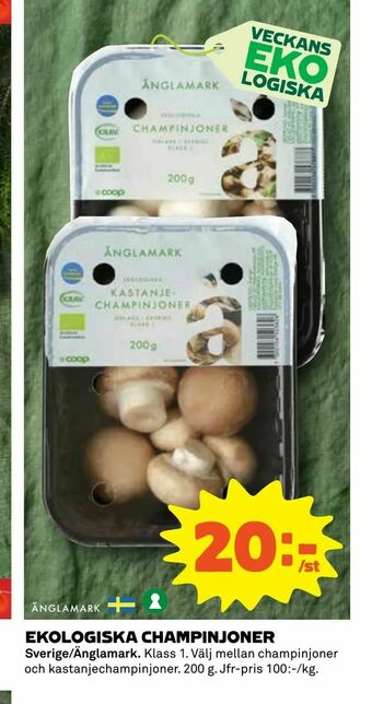 Coop Ekologiska champinjoner erbjuda
