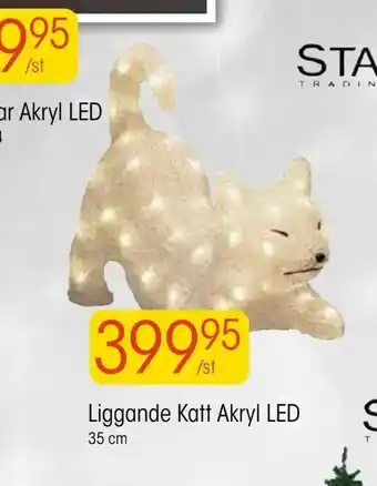 EKO Liggande Katt Akryl LED erbjuda