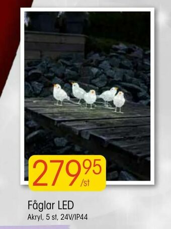 EKO Fåglar LED erbjuda