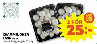 Stora Coop Champinjoner i ask erbjuda