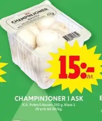 ICA Maxi CHAMPINJONER I ASK erbjuda