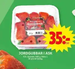 ICA Maxi JORDGUBBAR I ASK erbjuda