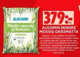 ICA Maxi ALGOMIN MINDRE MOSSIG GRÄSMATTA erbjuda