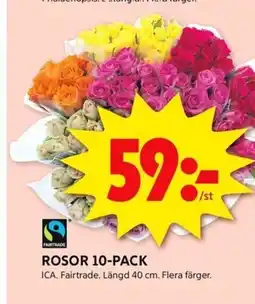 ICA Kvantum ROSOR 10-PACK erbjuda