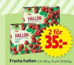 ICA Supermarket Frysta hallon erbjuda