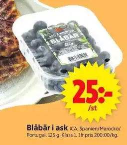 ICA Supermarket Blåbär i ask erbjuda