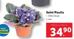 Lidl Saint Paulia erbjuda