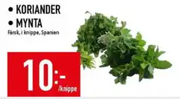 Matdax Koriander erbjuda