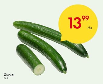 Snabbgross Gurka erbjuda