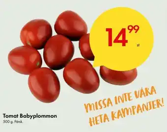 Tomat Babyplommon 500g