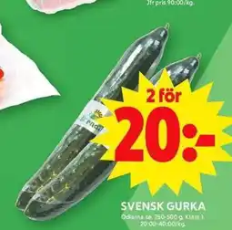 ICA Maxi SVENSK GURKA erbjuda