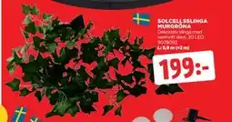 Jem&Fix SOLCELLSSLINGA MURGRÖNA erbjuda