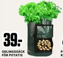 Odlingssäck för potatis