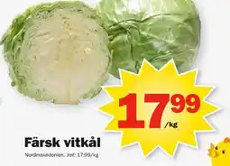 Färsk vitkål