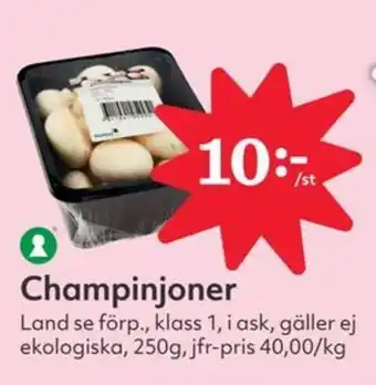 Östenssons Champinjoner erbjuda