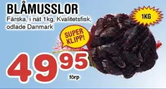 Nya Pulsen Blåmusslor erbjuda