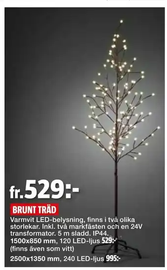 BRUNT TRÄD