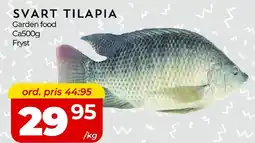 Matrix Butikerna Svart tilapia erbjuda