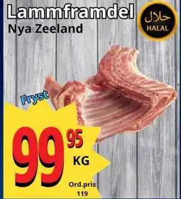 Supergrossen Lammframdel erbjuda