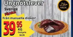 Supergrossen Ungnötslever erbjuda