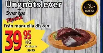 Supergrossen Ungnötslever erbjuda