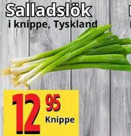Supergrossen Salladslök erbjuda