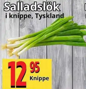 Supergrossen Salladslök erbjuda