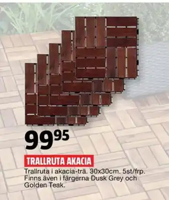 Bauhaus Trallruta Akacia erbjuda