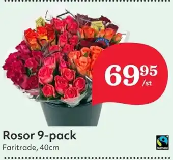 Hemköp Rosor erbjuda