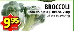 Matvärlden Tensta BROCCOLI erbjuda