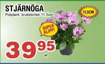 Nya Pulsen STJÄRNÖGA erbjuda
