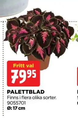 Jem&Fix PALETTBLAD erbjuda