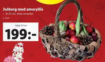 Lidl Julkorg med amaryllis erbjuda