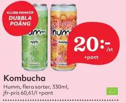 Östenssons HUMM Kombucha erbjuda