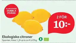 Östenssons Ekologiska citroner erbjuda