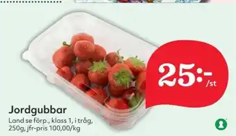 Östenssons Jordgubbar erbjuda