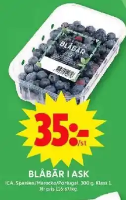 ICA Maxi BLÅBÄR I ASK erbjuda