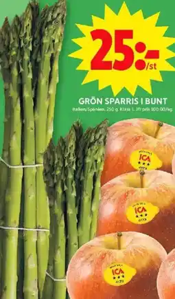 ICA Maxi GRÖN SPARRIS I BUNT erbjuda