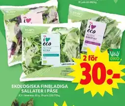ICA Maxi EKOLOGISKA FINBLADIGA SALLATER I PÅSE erbjuda