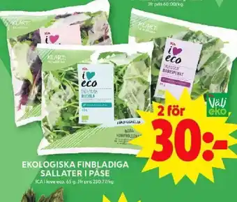 ICA Maxi EKOLOGISKA FINBLADIGA SALLATER I PÅSE erbjuda