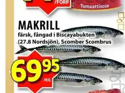 Matvärlden Tensta MAKRILL erbjuda
