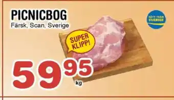 Nya Pulsen PICNICBOG erbjuda