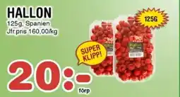 Nya Pulsen HALLON erbjuda