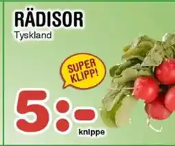 Nya Pulsen RÄDISOR erbjuda