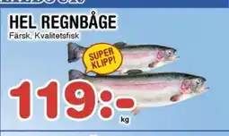 Nya Pulsen HEL REGNBÅGE erbjuda