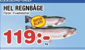 Nya Pulsen HEL REGNBÅGE erbjuda