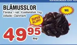 Nya Pulsen BLÅMUSSLOR erbjuda
