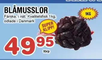 Nya Pulsen BLÅMUSSLOR erbjuda