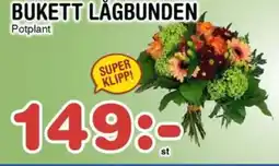 Nya Pulsen BUKETT LÅGBUNDEN erbjuda